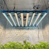 Kingbrite P55 800W BAR Grow Light with UV+IR |Samsung LM281B - Image 5